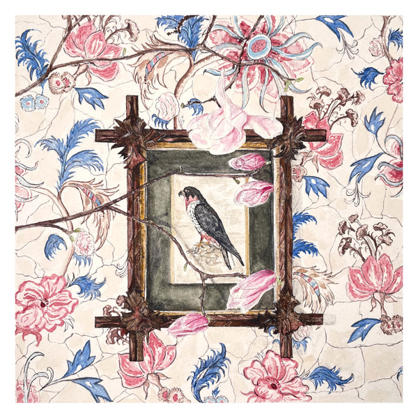 Floriana and Falcon Original