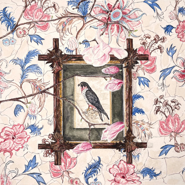 Flora and Fauna, set of 6 Cards